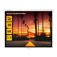 Phoenix - Pantalla de Proyeccion Manual Plegable 112 Pulgadas 2 x 2m Formatos 1:1 4:3 16:9 de Techo y Pared
