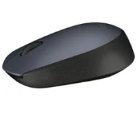 MOUSE RATON LOGITECH M170 OPTICO WIRELESS INALAMBRICO GRIS