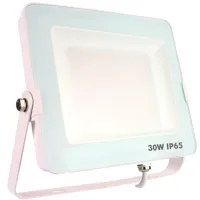 FOCO PROYECTOR IP65 30W 5700K 2.400lm BLANCO
