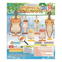 SET GASHAPON 40 UNIDADES HACHUHACHU CHARM BEST