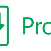 Microsoft Project Standard 2024 Esd (Descarga Directa) Todos Los Idiomas