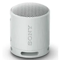 ALTAVOZ INALAMBRICO SONY SRS-XB100 GRIS