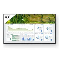 MONITOR SONY PROFESSIONAL BRAVIA 43" 4K UHD 60HZ