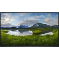 MONITOR DELL 24" P2425HE FHD 100HZ