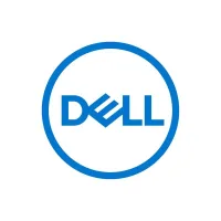DISCO DURO INTERNO DELL 2.5" 2.4TB SAS 12GB/S 161-BCFV